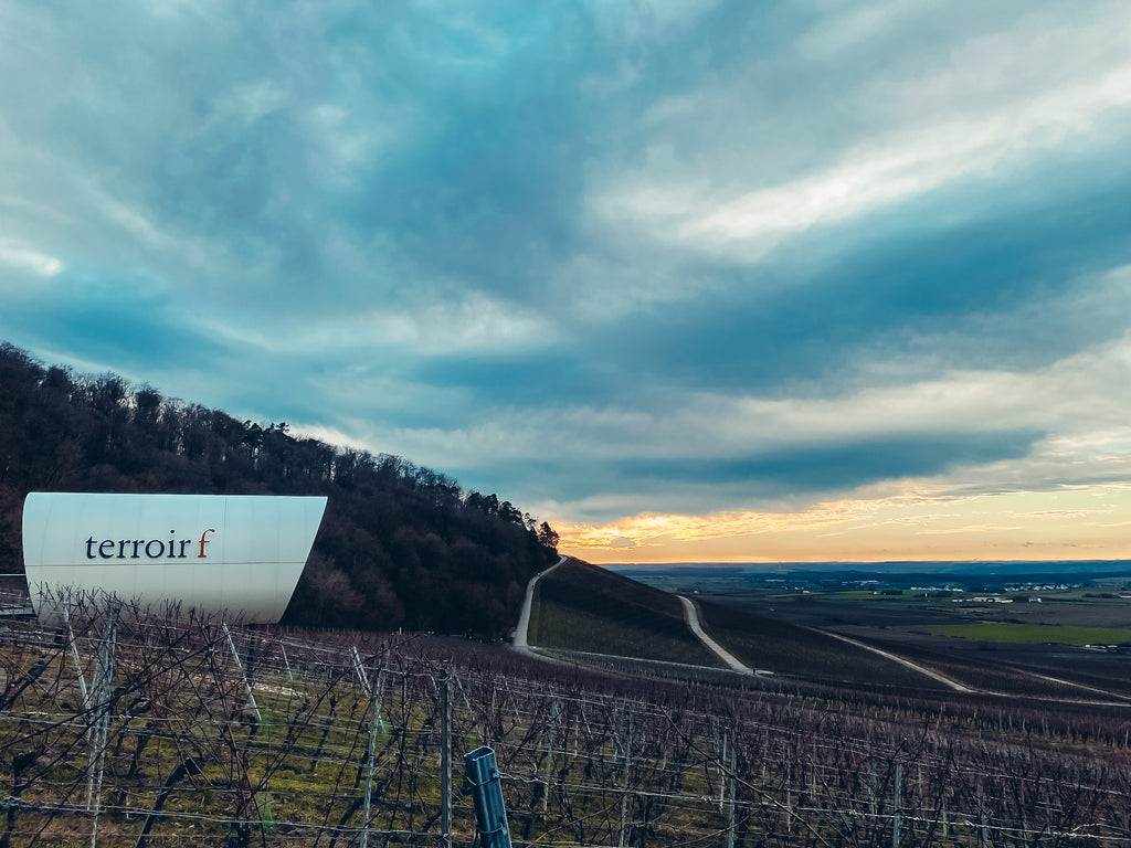 absolut ehrlich